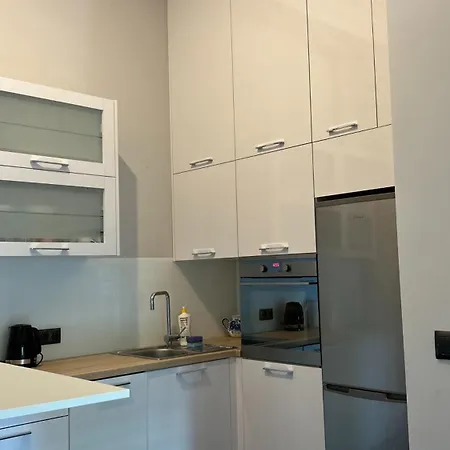 Apartament W Centrum Miasta Slaska 46 Daire