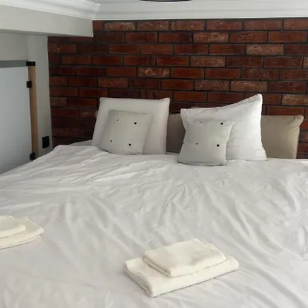 Apartament W Centrum Miasta Slaska 46 Daire *